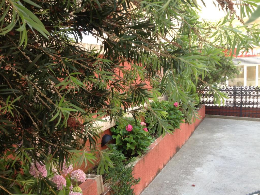 Apartments Boreta ブドヴァ エクステリア 写真